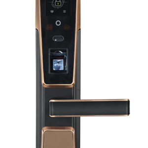 ZM100 Face Recognition Smart Lock