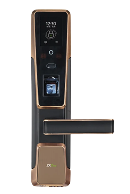 ZM100 Face Recognition Smart Lock